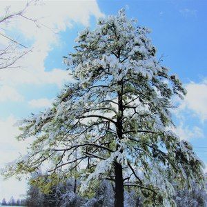 Meet your Posher, Grant